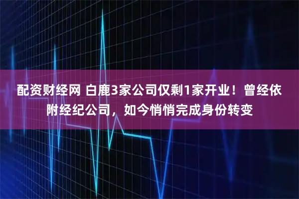 配资财经网 白鹿3家公司仅剩1家开业！曾经依附经纪公司，如今悄悄完成身份转变